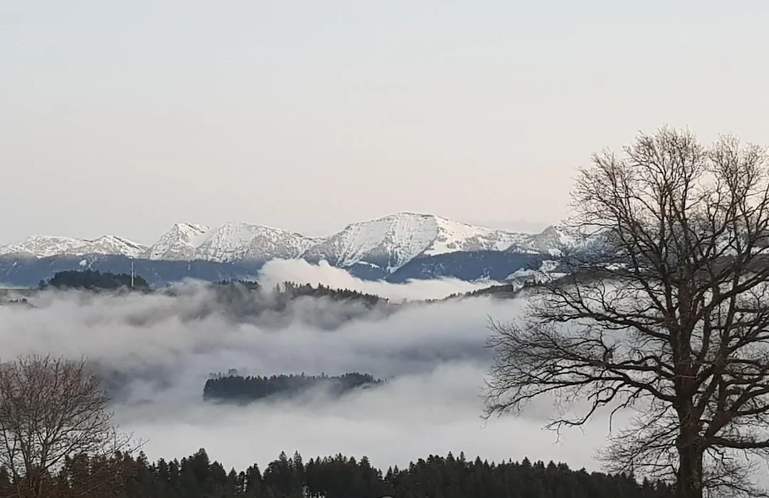 Schönblick Hotel Garni Ferienwohnungen-1